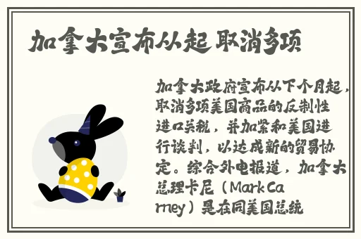 双人床上打扑克视频免费
